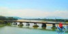 Cầu Sông Vệ