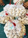 Tỏi lý sơn chính gốc - Hội Đồng Hương Xã Long Phụng - Tỉnh Quảng Ngãi