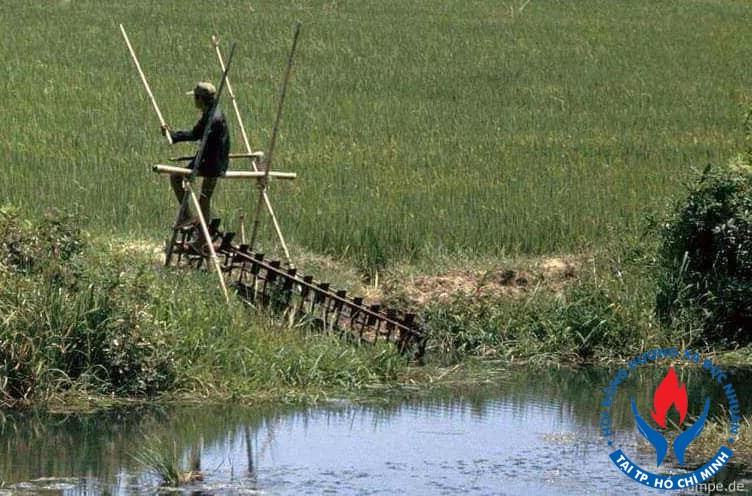 QUÊ HƯƠNG TRONG TÔI