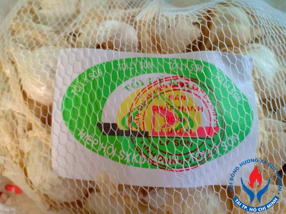 48378333 2281357208751077 1249478416734879744 n