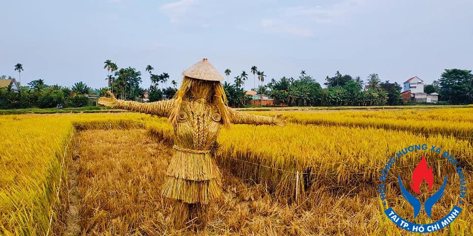 mo hinh tren canh dong 3